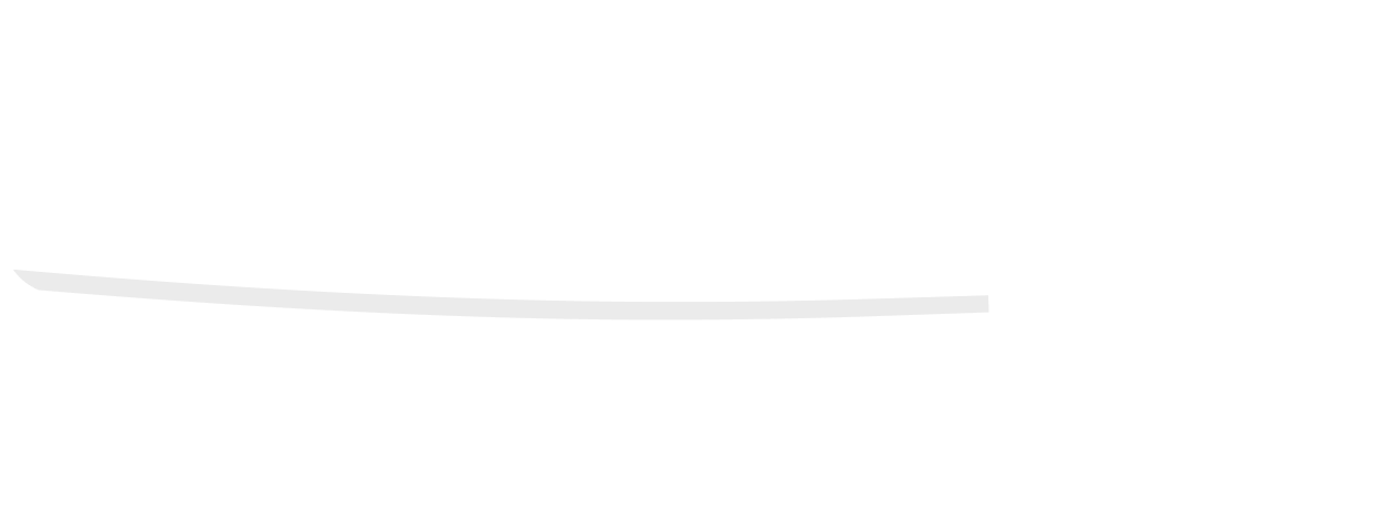Sponsor
