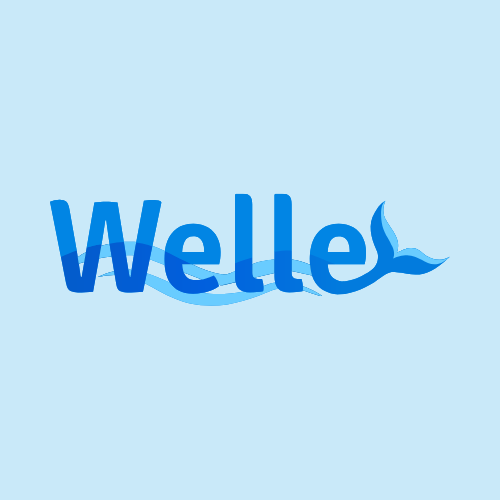 welle casino logo